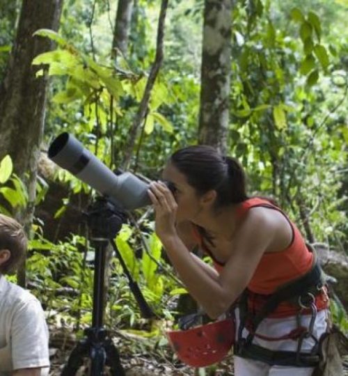 Bird-Watching-in-Nyungwe-600x400-1-1200x900