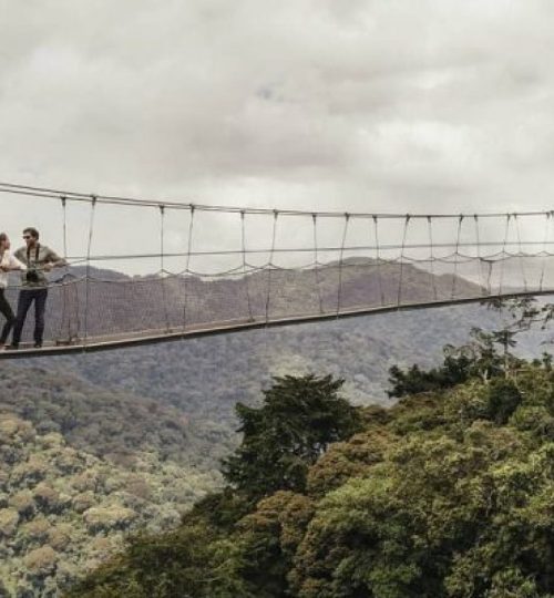 Nyungwe-Canopy-Walk-Rwanda-600x400-1-1200x900